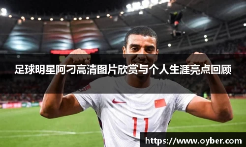 ok138太阳成城