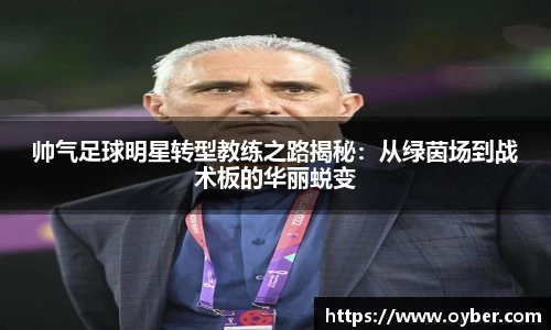 ok138太阳成城